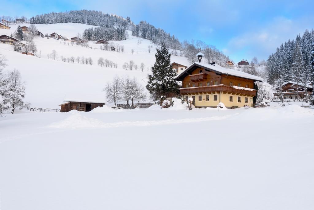 Апартаменты Bauernhof Auhof Ваграйн Экстерьер фото